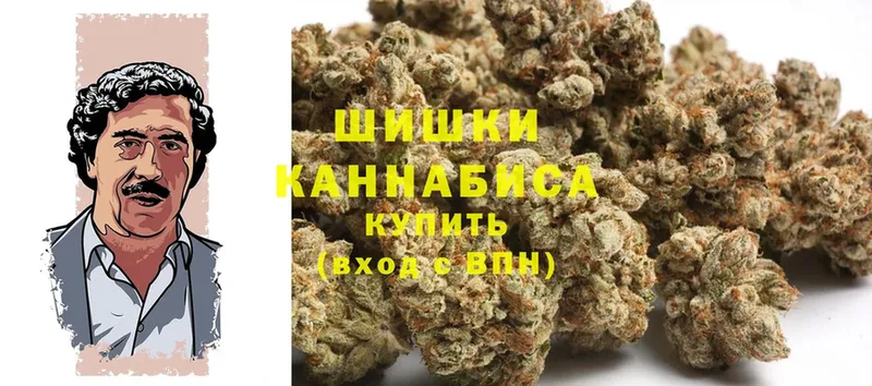 где продают наркотики  мега зеркало  Бошки марихуана LSD WEED  Гуково 